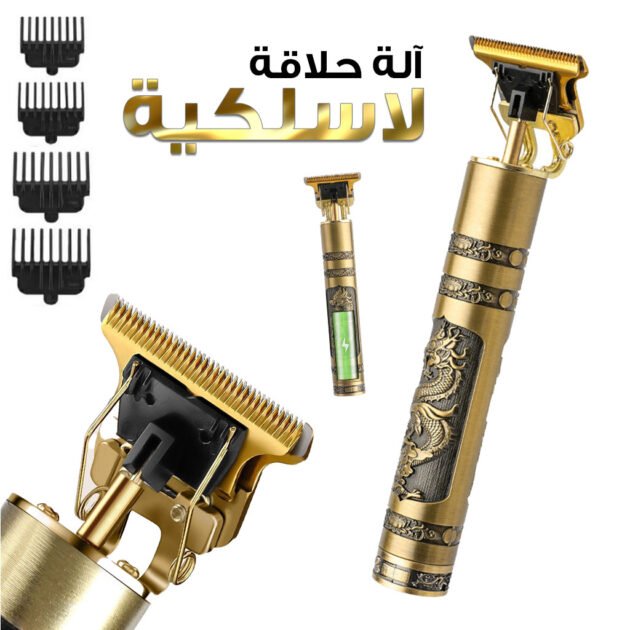 Tondeuse Professionnelle Barbe Et Moustache VT-822